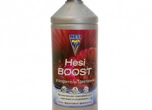 Hesi Boost 1 L