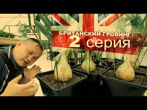 Indoor (Индор)