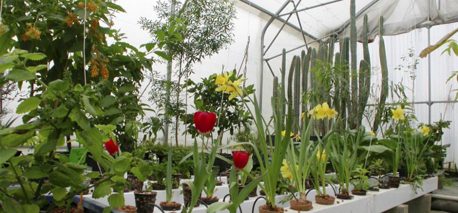 Гидропоника. Оранжерея General Hydroponics Europe