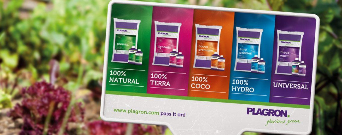 plagron субстраты  natural coco hydro universal